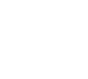 Sveriges Talare Kompetensförmedling AB logotyp